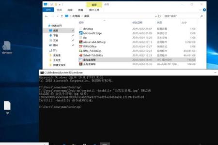 解密发达之命：探寻生活的成功密码