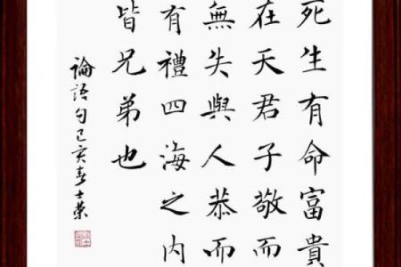 探寻命曰天放的深意与人生启示