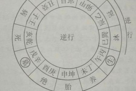 丙午丙子命理解析：揭示你命运中的火与水交融之道