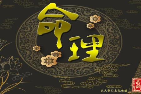 探寻命理奥秘：希儿一命与二命的实用价值