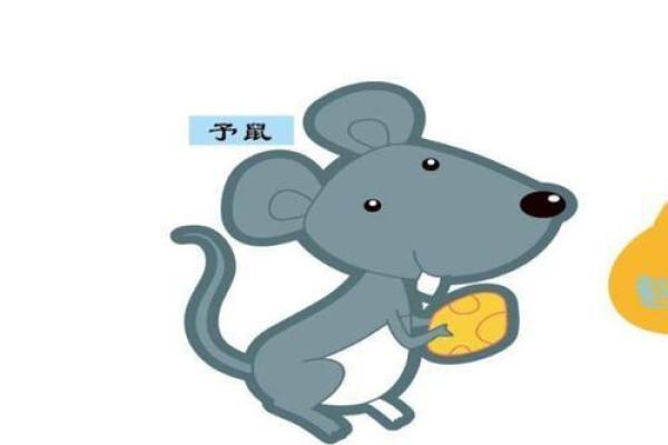 1984年出生的水命人生运势与性格解析