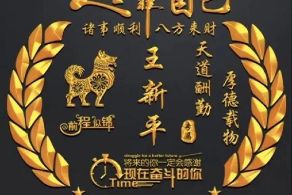 根据命理缺失，为孩子起个美名，助其人生精彩纷呈！