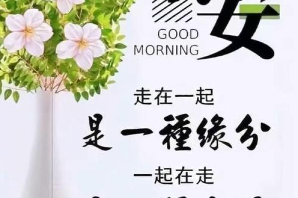 33岁兔年命理解析：好运与挑战并存，如何把握人生机会？