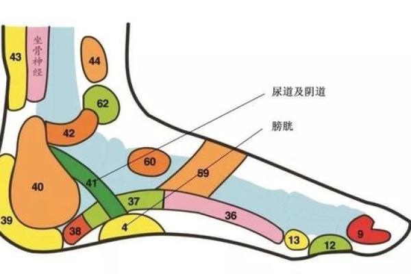 探秘头上长脓包的原因与健康提示，教你如何应对与预防