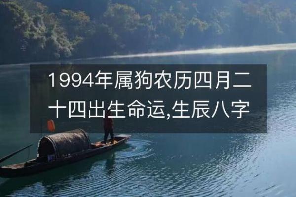 1994属狗者的木命解析与生活智慧