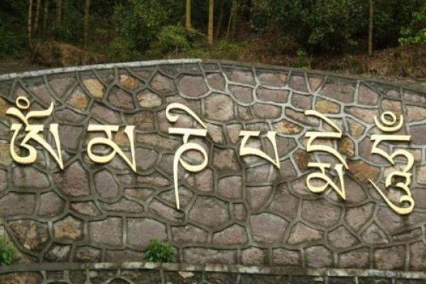 探秘1997年命卦：揭示人生的奥秘与力量