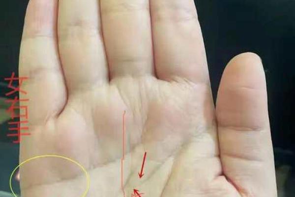 天赐鸿福,富贵命运:了解这几个生肖的特征与命运之道 天赐鸿福,富贵命运:了解这几个生肖的特征与命运之道