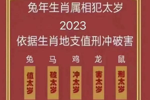 35岁兔子的命理解析：人生、机遇与幸福的关键词