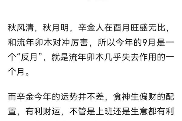 2023年癸卯兔运势解析：命理背后的深意与启示