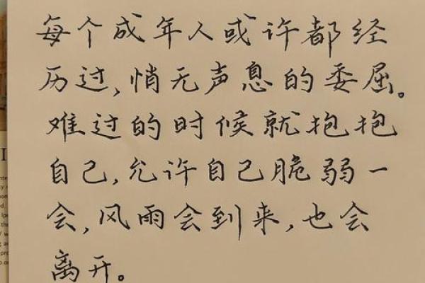 极短命的星辰：解读命运的脆弱与顽强