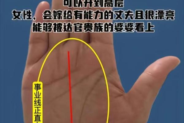 揭秘事业中上命局：如何在职场中逆风翻盘！
