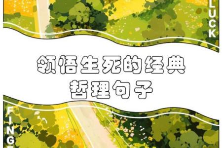探秘九字命：揭开命理之谜，领悟人生哲理！