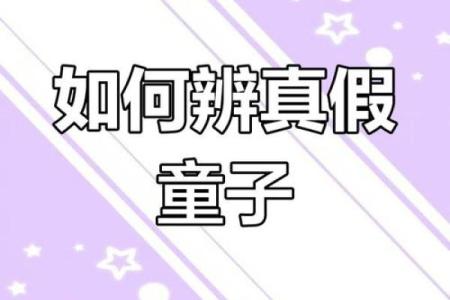 探秘五大真命童子：命运、性格与人生价值的深刻解析