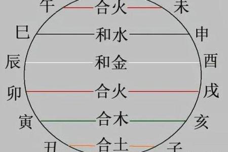 探秘“9命”的奥秘：生命与命运的奇妙交织
