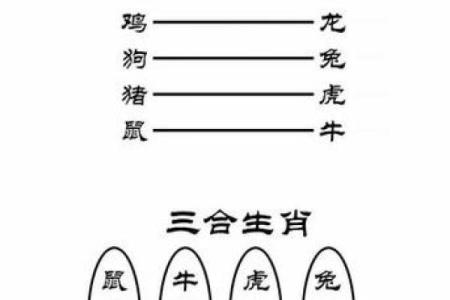 1994属狗者的木命解析与生活智慧