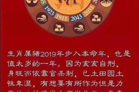 1995年属猪男性的命理分析与人生智慧探索