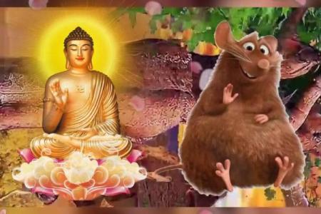 71年生属鼠，智慧与机遇的完美结合