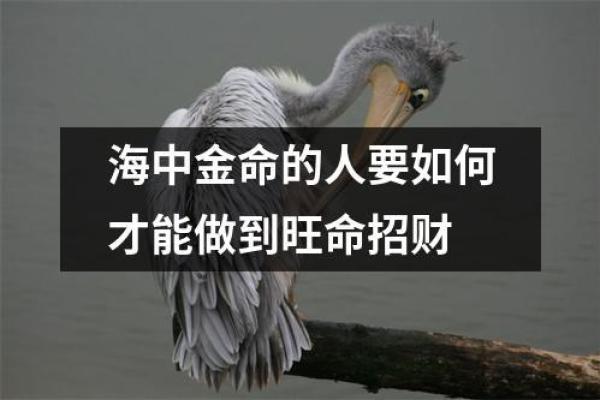 火中金命适合开展哪些生意？揭示五种最佳选择！