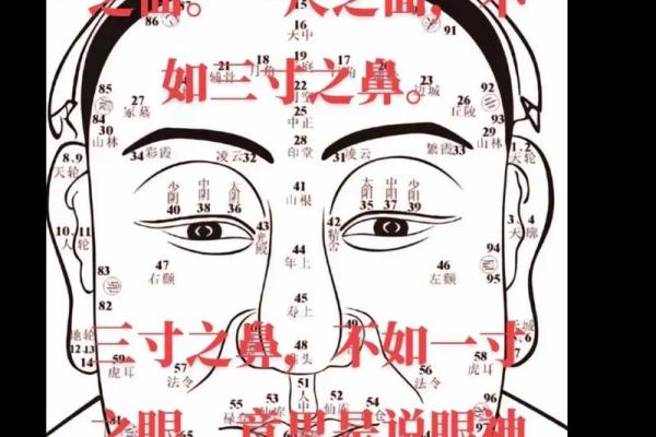 探究年柱八字：揭示女命与男命的命格奥秘