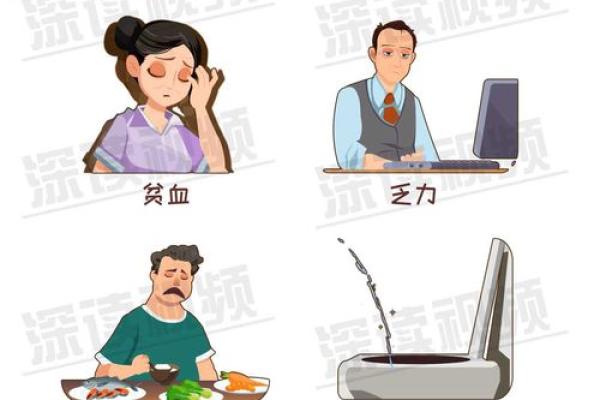 揭秘：哪些疾病需要换血续命？了解血液透析与造血干细胞移植！