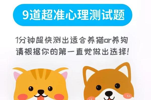养什么成什么的人是什么命：从宠物到性格的深度探讨