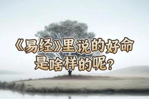 《命运的纠葛:尝试理解“硬命”背后的故事》 《命运的纠葛:尝试理解“硬命”背后的故事》