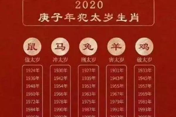 2018年属龙人命理解析：揭秘你的命运与未来之路