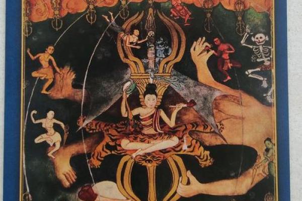 火猴命：热情与智慧的完美结合，揭示人生的奥秘与机遇