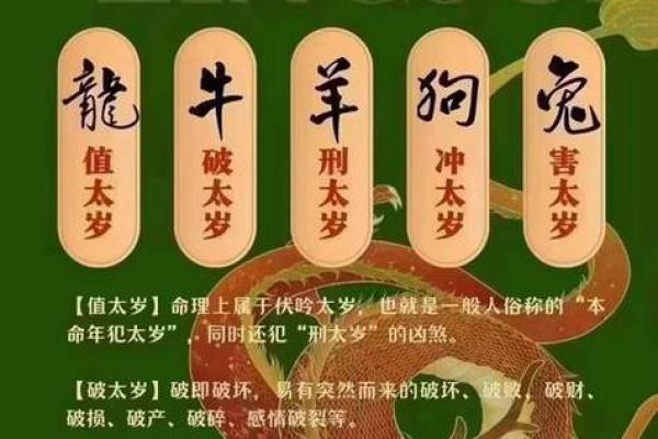 揭开生肖金命的神秘面纱:从生肖看运势与财富 揭开生肖金命的神秘面纱:从生肖看运势与财富
