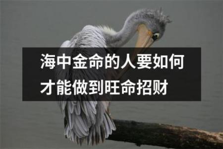 火中金命适合开展哪些生意？揭示五种最佳选择！