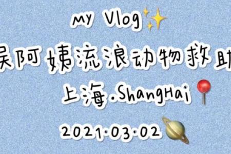 2021年出生宝宝的命运分析：揭示你的孩子未来的潜力与发展