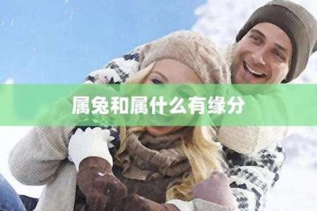 1999腊月兔的命运揭秘：属兔人的生活智慧与缘分探析