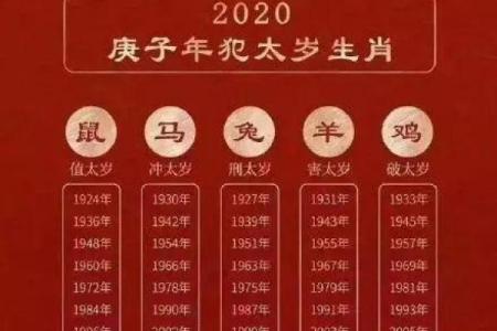 2018年属龙人命理解析：揭秘你的命运与未来之路