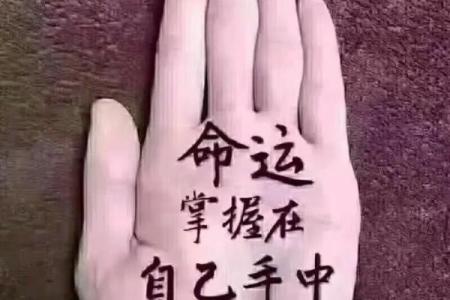 靠什么决定自己的命运：追寻人生的真正支点