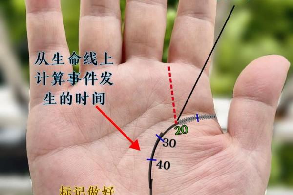 没有痣的女人命运解析：她们的独特人生与未来运势