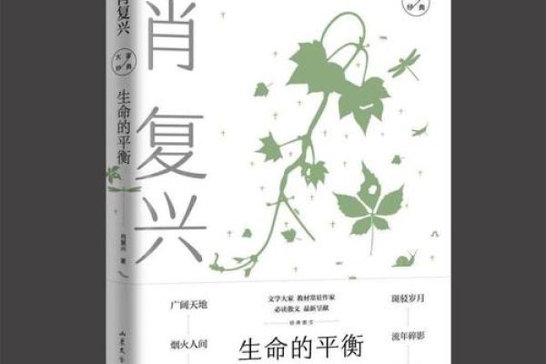 解读1969年水命：寻求生命的平衡与补救之道