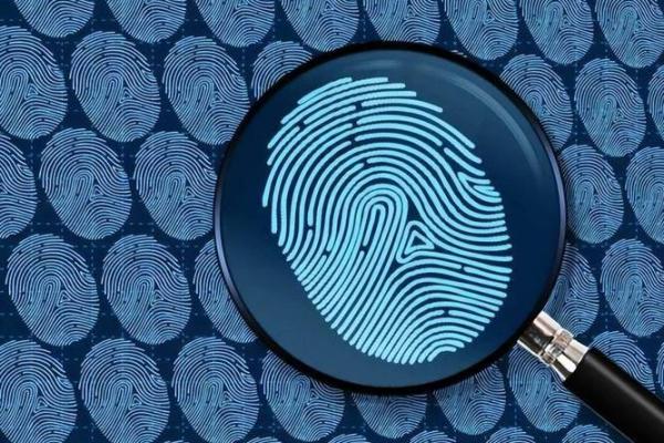 揭示12年命运之谜：缺什么颜色能改变人生？