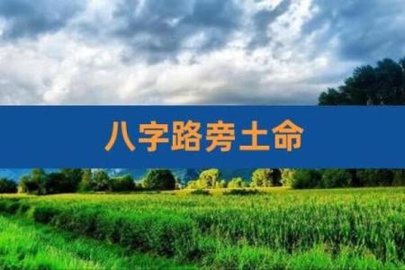 路旁土命者适合的职业选择与生活智慧