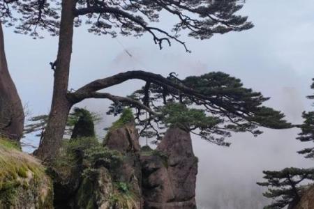 六十仙命：探寻神秘山向的奥秘与关联