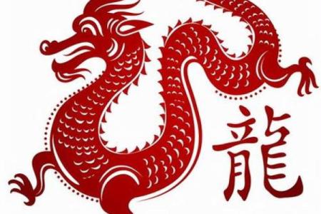 47岁属大龙的人生运势与命理解析