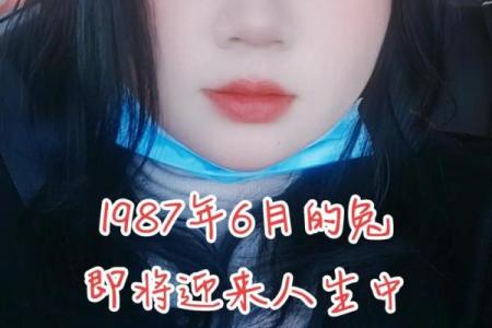 1987年的兔年：命运与人生的那些事