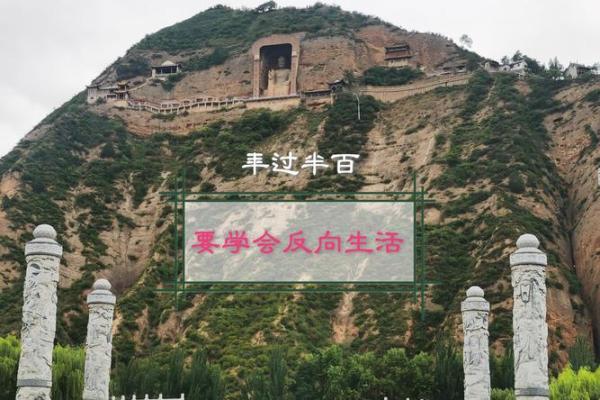 探索生命的意义：从《如果这就是命》看人生的轨迹与感悟