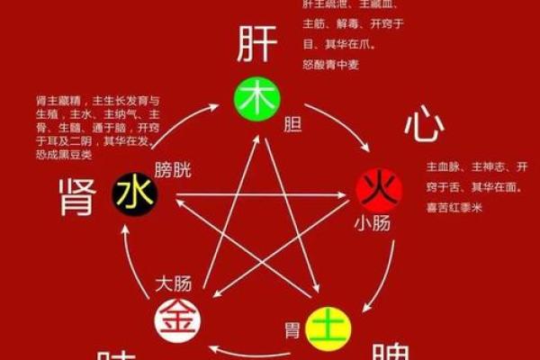 探秘木龙命：五行属性与命理解析