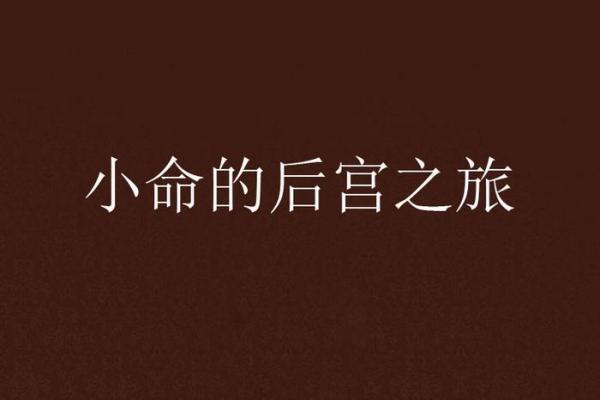 小龙命格解析：揭秘小龙男人的性格与命运之旅