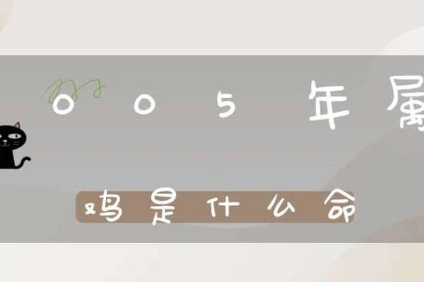 属鸡木命人士适合从事哪些行业？