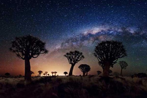 天河水命的羊:适合的职业选择与发展方向 天河水命的羊:适合的职业选择与发展方向