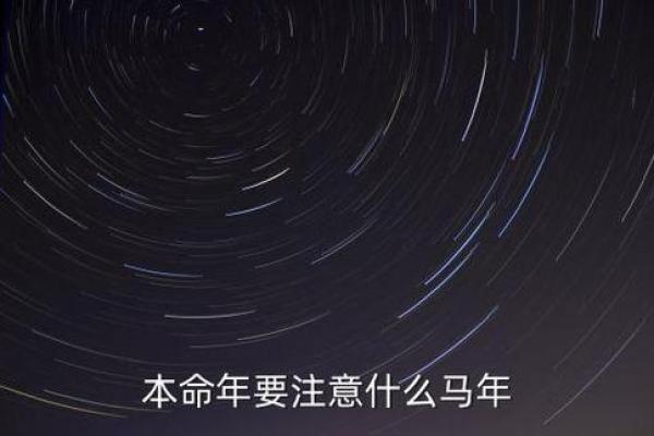 2002年：神秘的马年与其命理解读