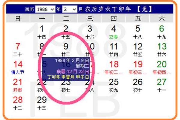 阳历12号出生者的命运解析：神秘与机遇并存的生活旅程
