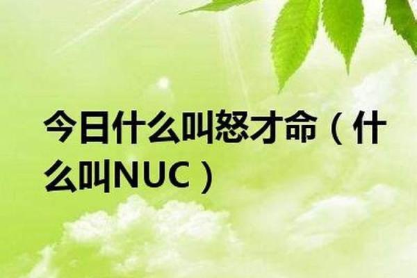 掌握覆灯火命，选对车色让你运势倍增！