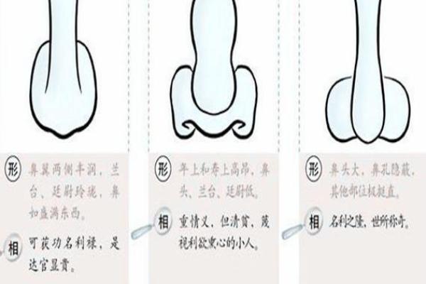 鼻梁塌陷的人是什么命？探寻面相与命运的奥秘